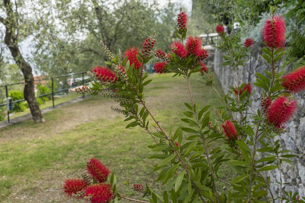 Monja Village Brenzone sul Garda Exterior photo
