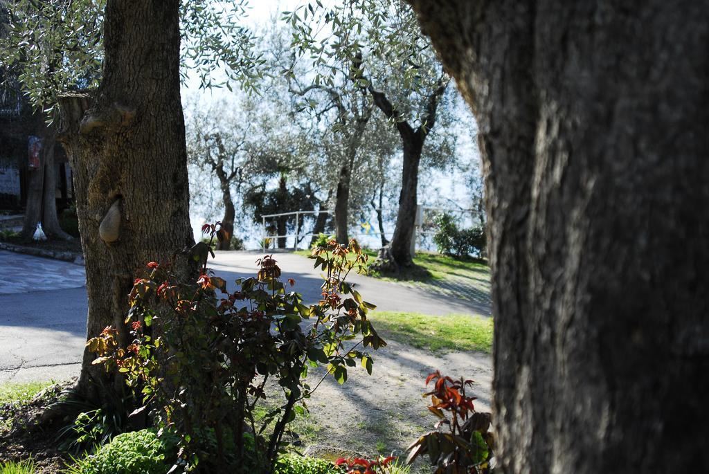 Monja Village Brenzone sul Garda Exterior photo